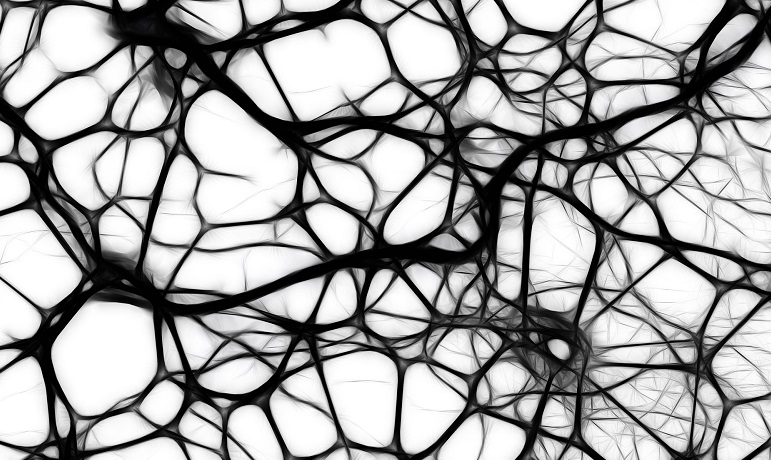 Пересаженные нейроны используются для более быстрого тестирования существующих лекарств.